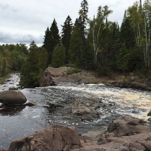 Meet your Posher, Jodee